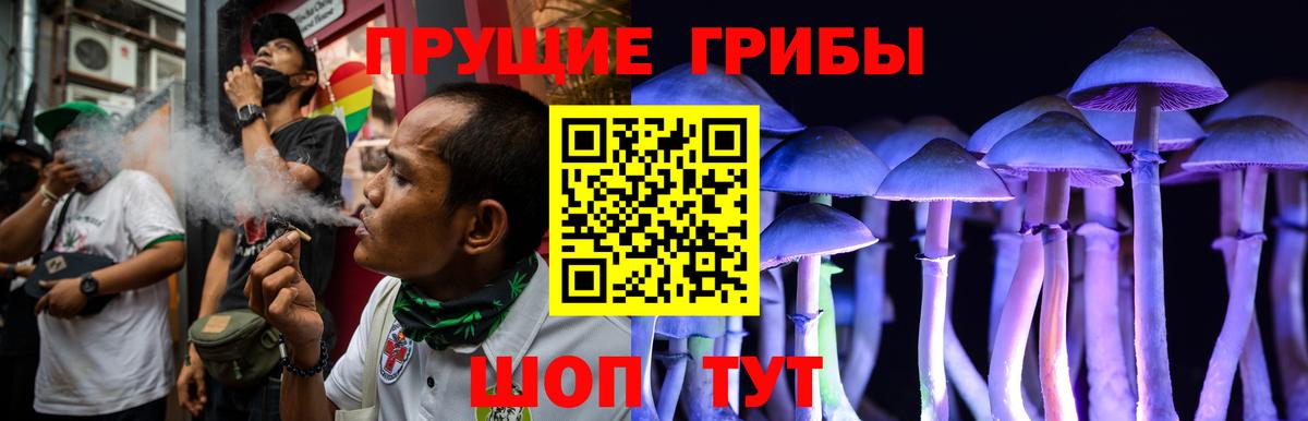наркота  Псилоцибиновые грибы мухоморы  Минусинск  Вход с VPN  Псилоцибиновые грибы Psilocybe 